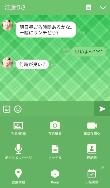 [LINE着せ替え] グリーンチェックダイアリーの画像4