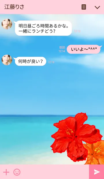 [LINE着せ替え] - Hibiscus and sea -の画像3