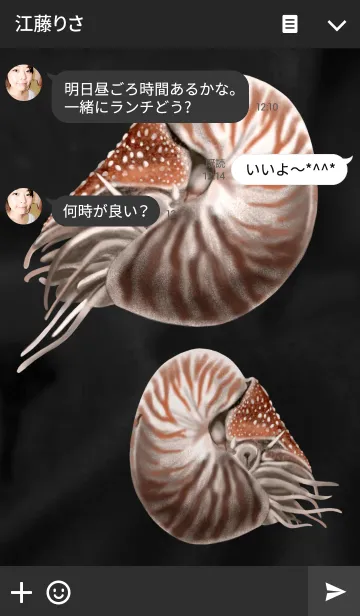 [LINE着せ替え] 鸚鵡貝の画像3