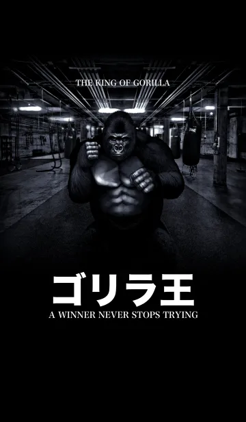 [LINE着せ替え] ゴリラ王 5の画像1