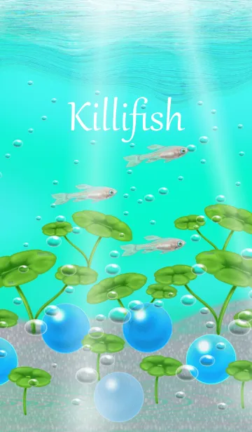 [LINE着せ替え] Killifish2の画像1