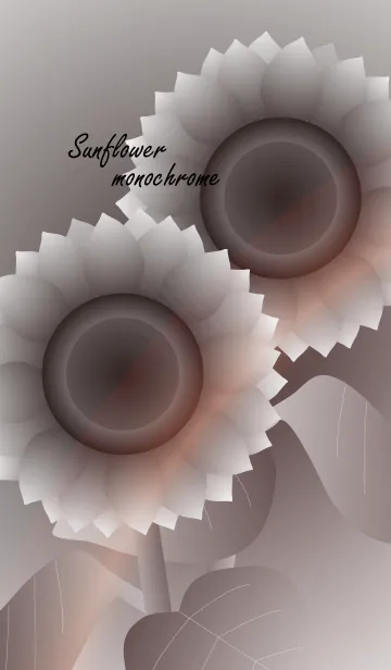 [LINE着せ替え] Sunflower monochromeの画像1