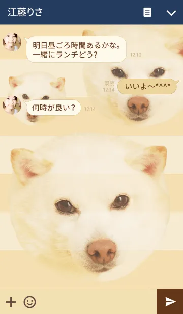 [LINE着せ替え] 豆柴大福。の画像3