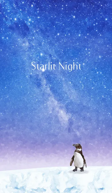 星明りの夜の着せ替えメイン画像