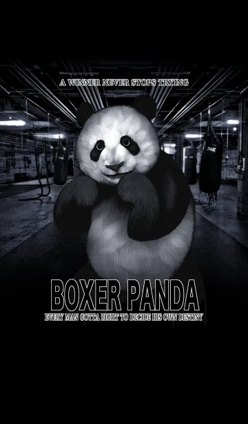 [LINE着せ替え] ボクサーパンダの画像1