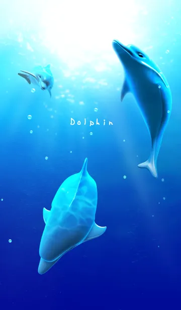 [LINE着せ替え] Dolphin イルカの着せかえの画像1