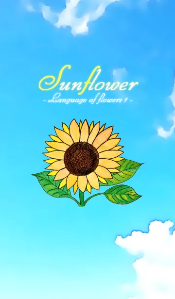 [LINE着せ替え] Sunflower -Language of flowers-の画像1