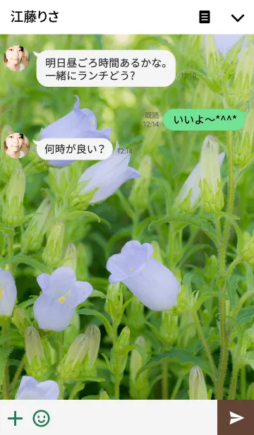 [LINE着せ替え] 風鈴草の画像3