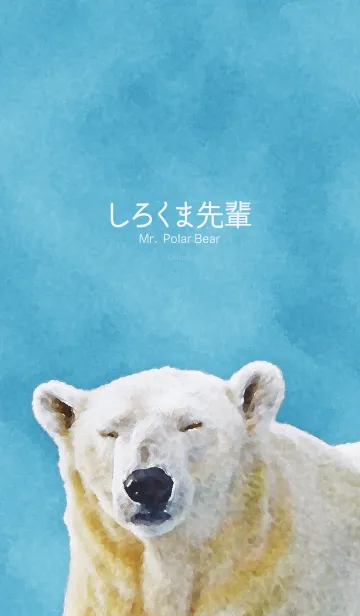 [LINE着せ替え] Mr. Polar Bearの画像1