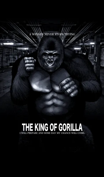 [LINE着せ替え] キング・オブ・ゴリラ 4の画像1