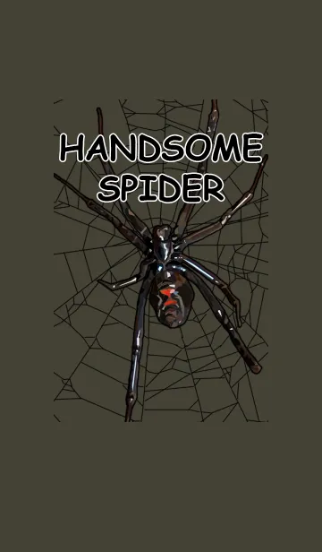 [LINE着せ替え] Handsome Spiderの画像1