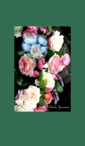 [LINE着せ替え] My garden, My rose_Pierre de Ronsardの画像1