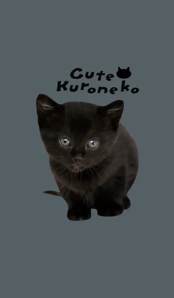 [LINE着せ替え] Cute Kuroneko かわいいくろねこの子猫の画像1