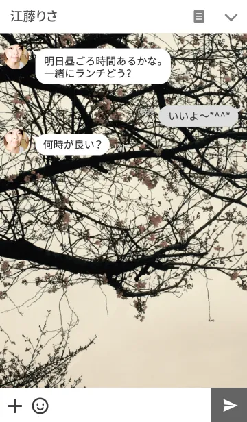 [LINE着せ替え] ノスタルジックワールド01 桜の画像3