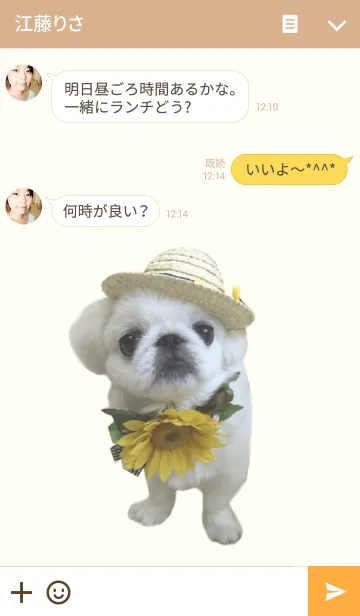 [LINE着せ替え] 白ペキニーズ集合の画像3