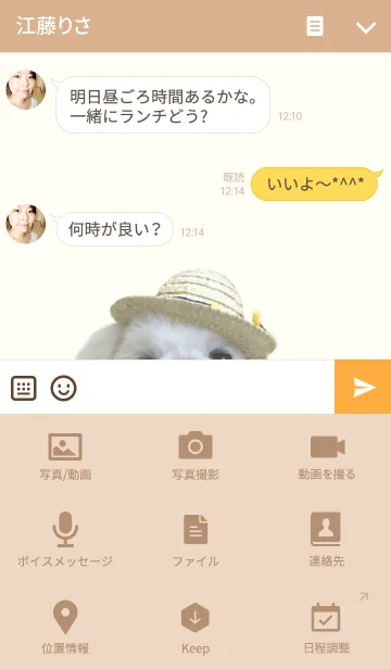 [LINE着せ替え] 白ペキニーズ集合の画像4
