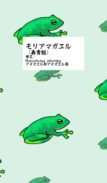 [LINE着せ替え] モリアマガエル着せ替えの画像1