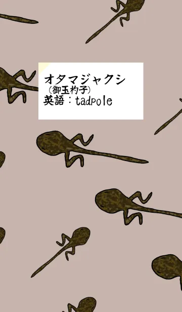 オタマジャクシ着せ替えの着せ替えメイン画像