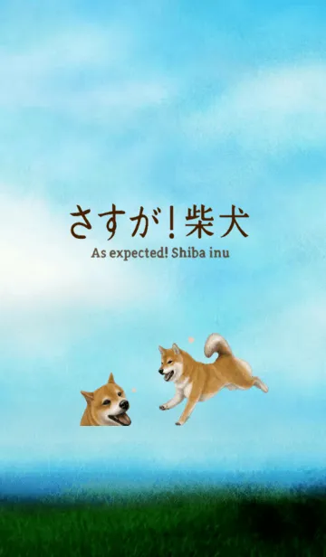 [LINE着せ替え] さすが！柴犬の画像1