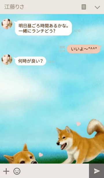 [LINE着せ替え] さすが！柴犬の画像3