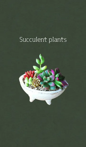 [LINE着せ替え] 多肉植物 -Succulent Plants-の画像1