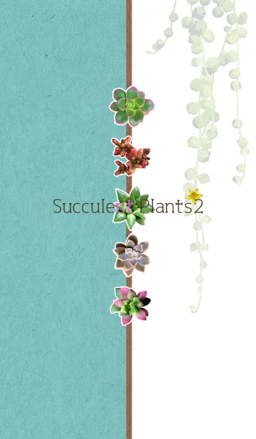 [LINE着せ替え] 多肉植物 -Succulent Plants- 2の画像1