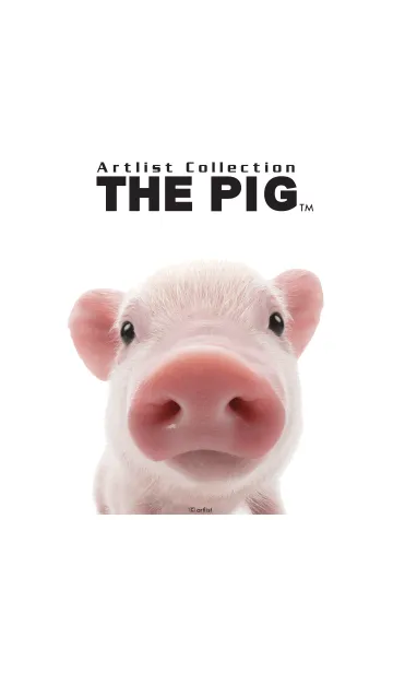 [LINE着せ替え] Artlist Collection THE PIGの画像1