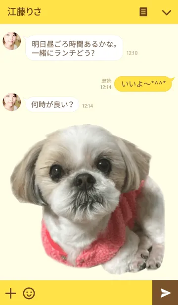 [LINE着せ替え] Real DOG シーズーの画像3