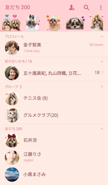 [LINE着せ替え] シーズーモデル あずきの画像2