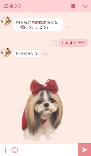 [LINE着せ替え] シーズーモデル あずきの画像3