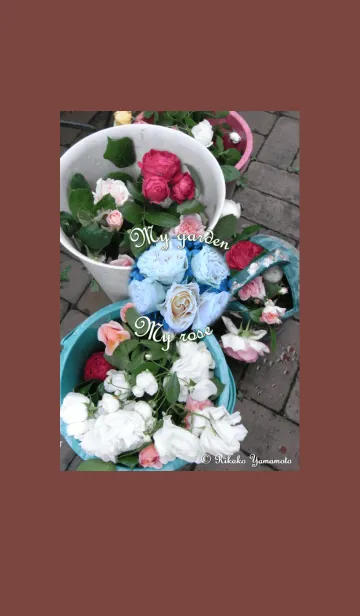 [LINE着せ替え] My garden, My rose_Various_2の画像1