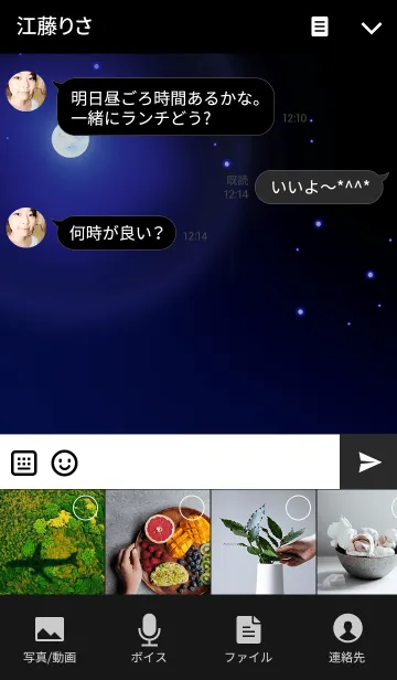 [LINE着せ替え] しょうぶー2 夜の庭園の画像4