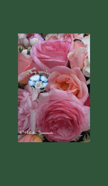 My garden, My rose_Pierre de Ronsard_3の着せ替えメイン画像