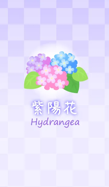爽やかな和柄 紫陽花の着せかえの着せ替えメイン画像