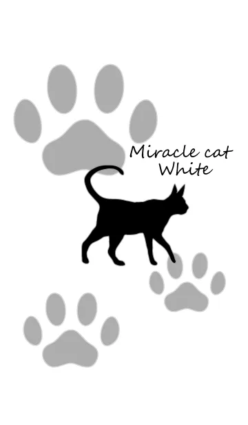 [LINE着せ替え] Miracle cat whiteの画像1