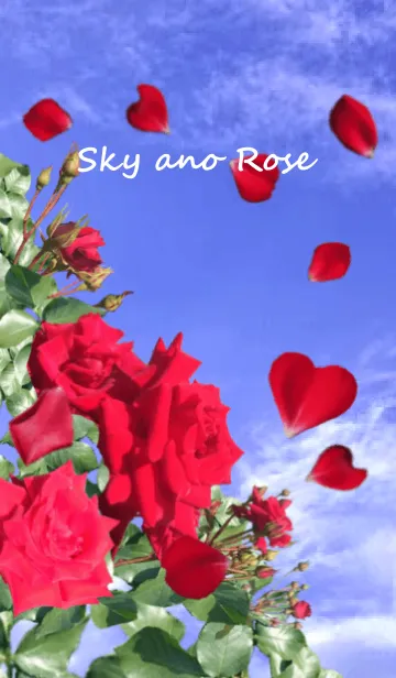 [LINE着せ替え] Sky and Rose2の画像1