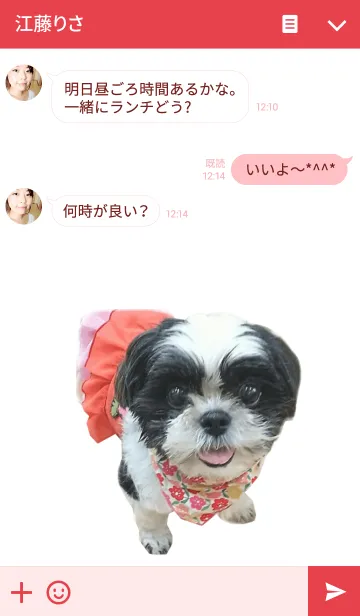 [LINE着せ替え] 黒白シーズー桃子ちゃん♪の画像3