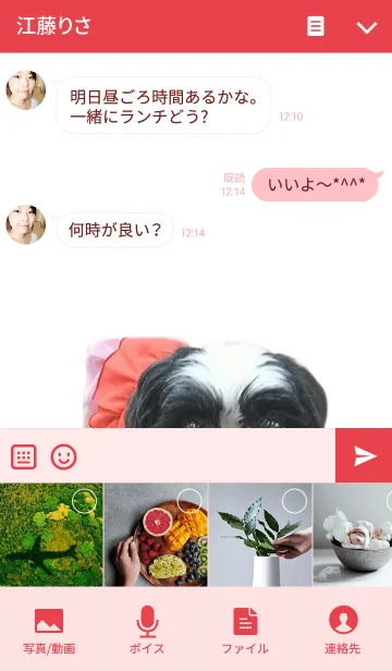 [LINE着せ替え] 黒白シーズー桃子ちゃん♪の画像4