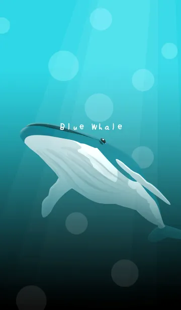 [LINE着せ替え] Blue Whale シロナガスクジラの画像1