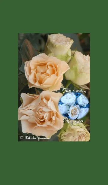 My garden, My rose_Antique lace_2の着せ替えメイン画像