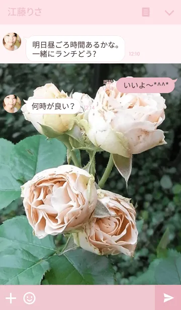 [LINE着せ替え] My garden, My rose_Antique lace_3の画像3