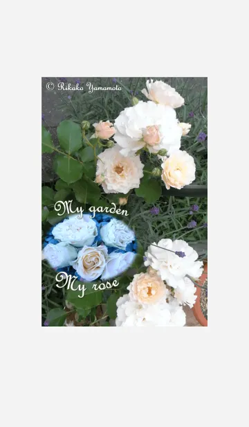 [LINE着せ替え] My garden, My rose_Chouの画像1