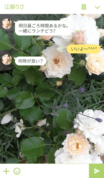 [LINE着せ替え] My garden, My rose_Chouの画像3