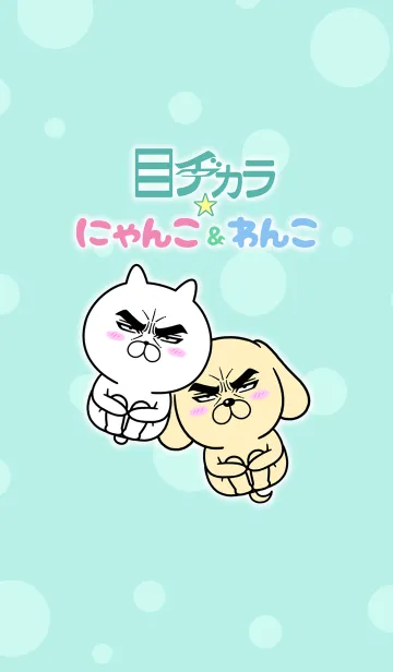 [LINE着せ替え] 目ヂカラ☆にゃんこ＆わんこの画像1