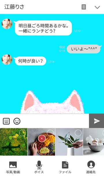 [LINE着せ替え] stuffed animal of a catの画像4