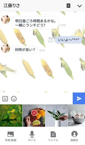 [LINE着せ替え] トウモロコシがいっぱいの画像4