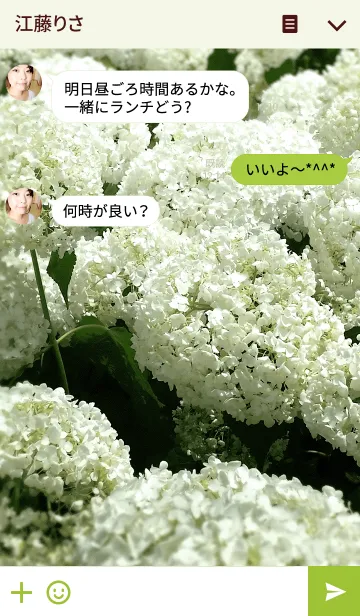 [LINE着せ替え] ア ジ サ イの画像3