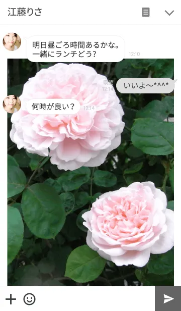 [LINE着せ替え] My garden, My rose_Masako Eglantine_3の画像3