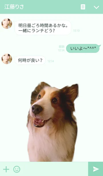 [LINE着せ替え] リアルDOG シェルティの画像3