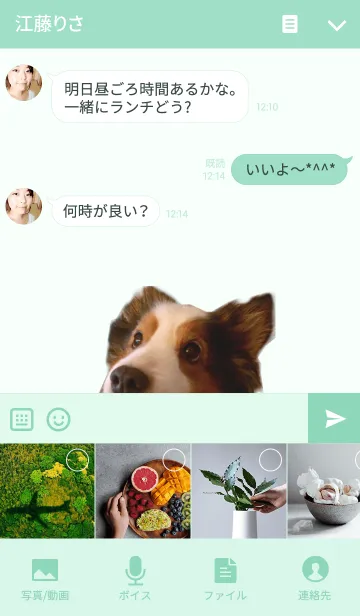 [LINE着せ替え] リアルDOG シェルティの画像4